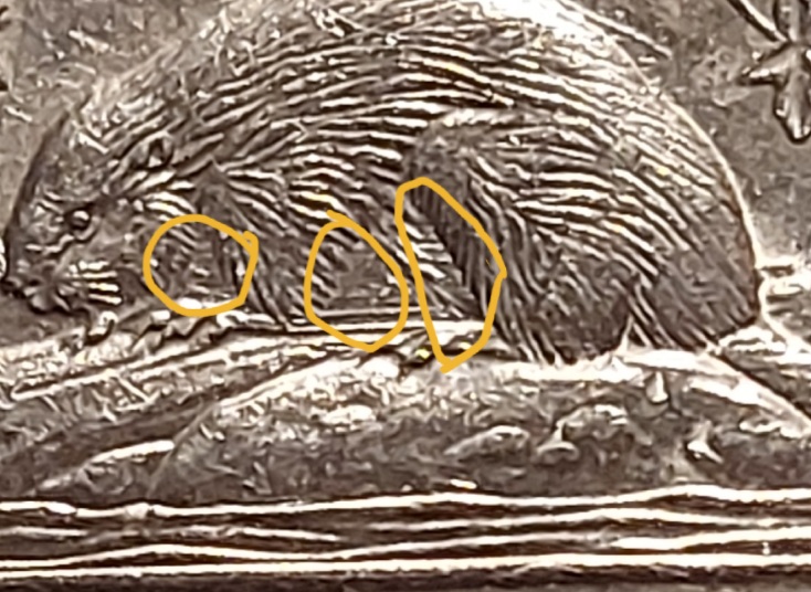 1990-Bb-Nickel-For-Grading.